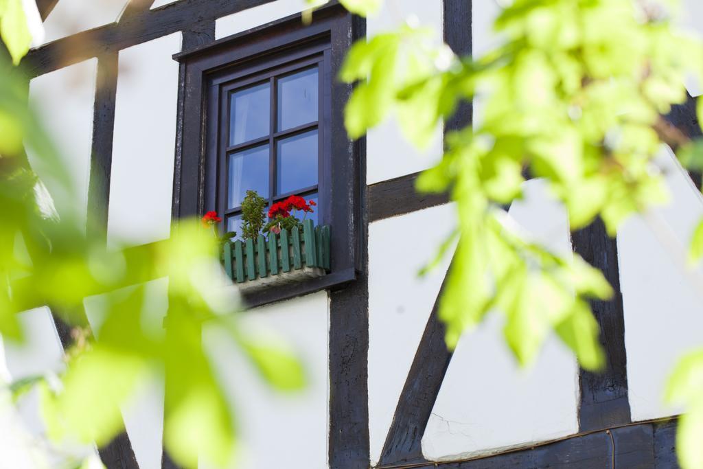 Romantik Hotel Alte Vogtei Hamm  Dış mekan fotoğraf